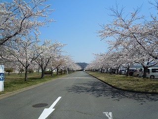 01.jpg