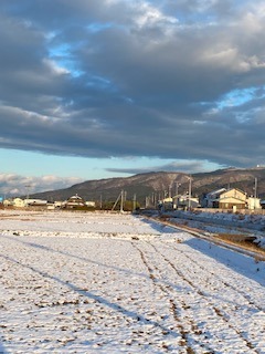 IMG_4375.JPG